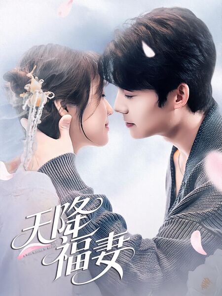 天降福妻