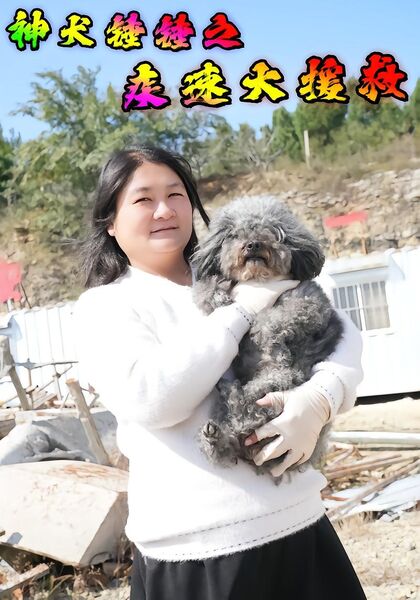 神犬锤锤之疾速大援救