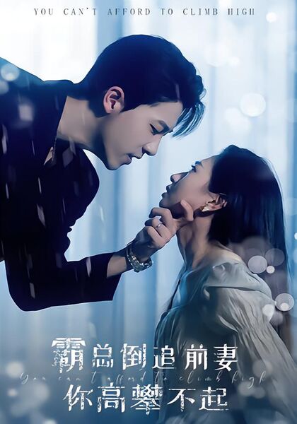大佬倒追前妻你高攀不起