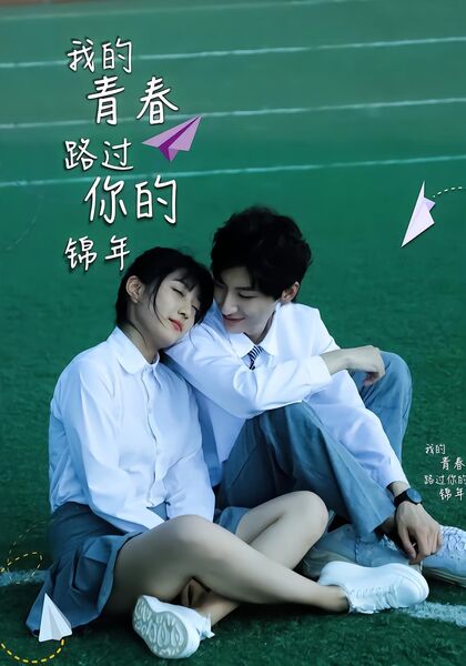 我的青春路过你的锦年