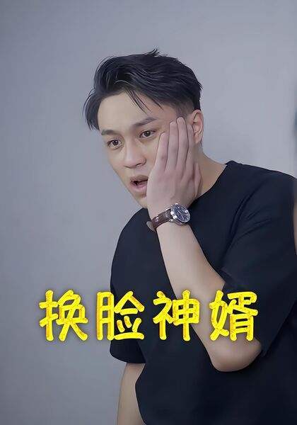 换脸神婿