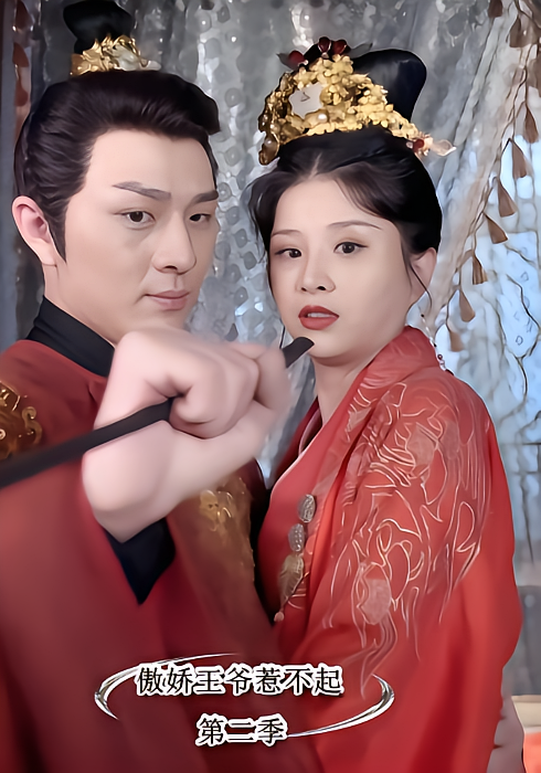 傲娇王爷惹不起第二季