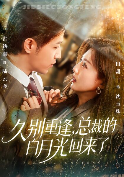 久别重逢，总裁的白月光回来了