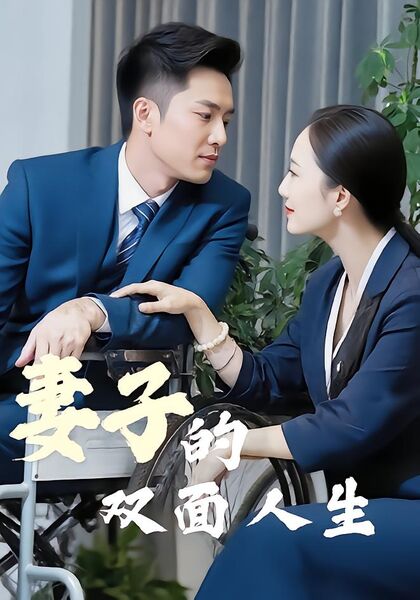 妻子的双面人生