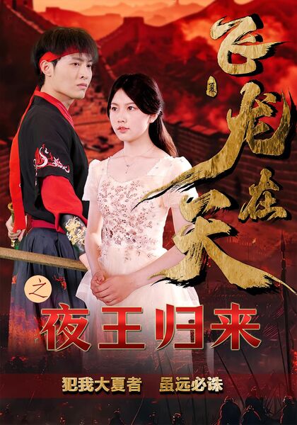 飞龙在天之夜王归来