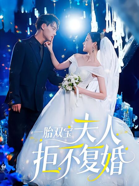 一胎双宝夫人拒不复婚