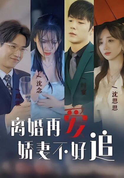 离婚再爱娇妻不好追