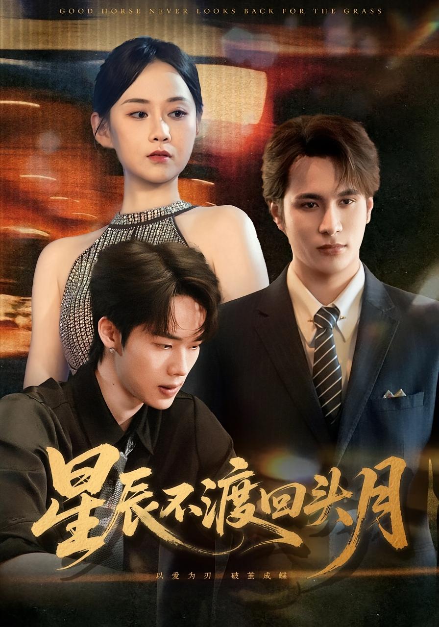 星辰不渡回头月