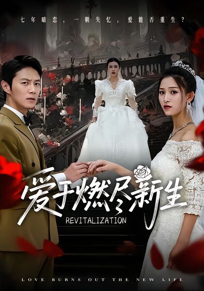 爱于燃尽新生