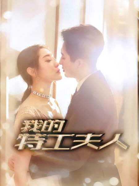 我的特工夫人