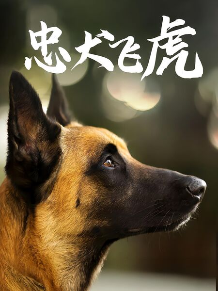 忠犬飞虎