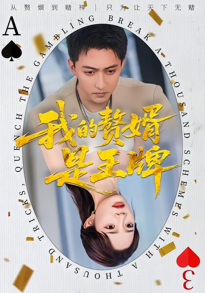 我的赘婿是王牌