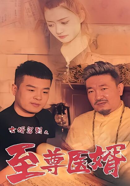 女婿驾到之至尊医婿