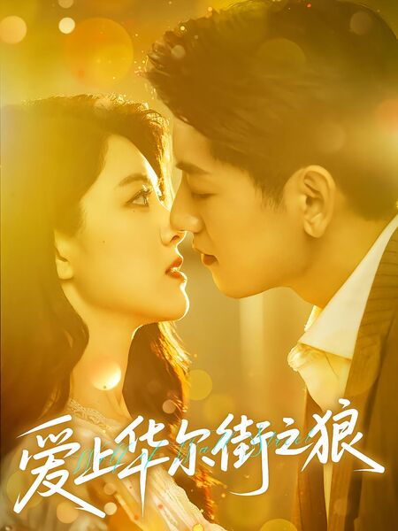 爱上华尔街之狼