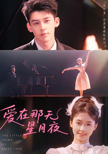 爱在那天星月夜