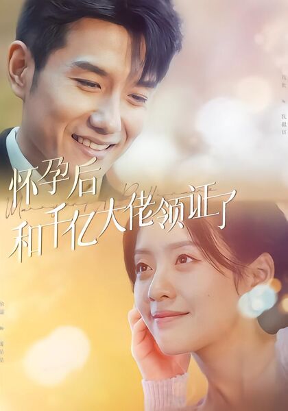 怀孕后和千亿大佬领证了