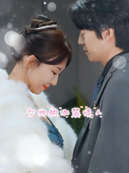 少帅的伪装情人