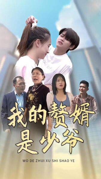 我的赘婿是少爷