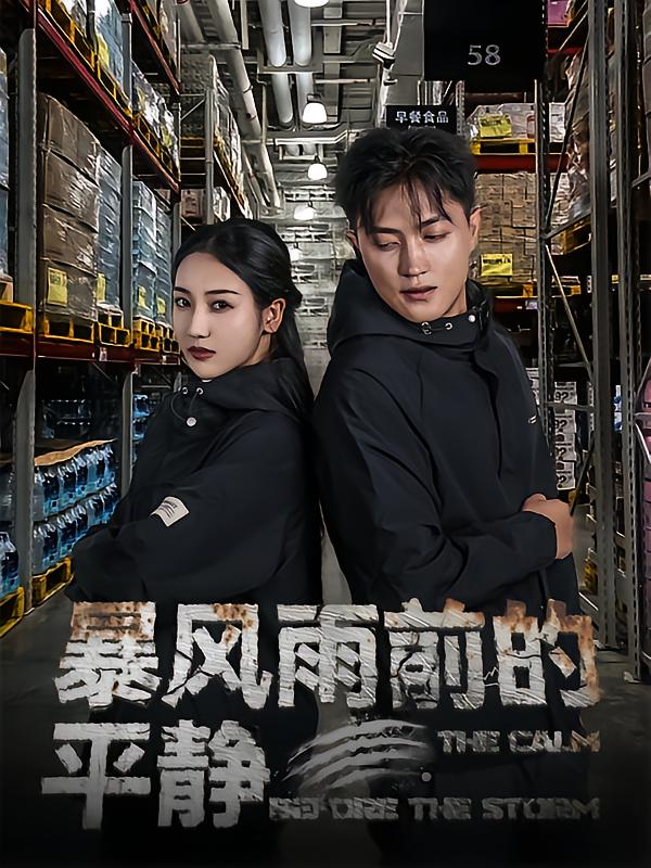 暴风雨前的平静