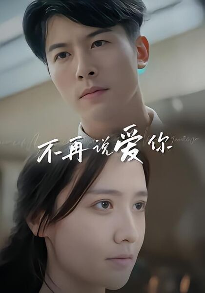 不再说爱你