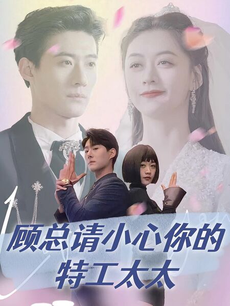 顾总请小心你的特工太太