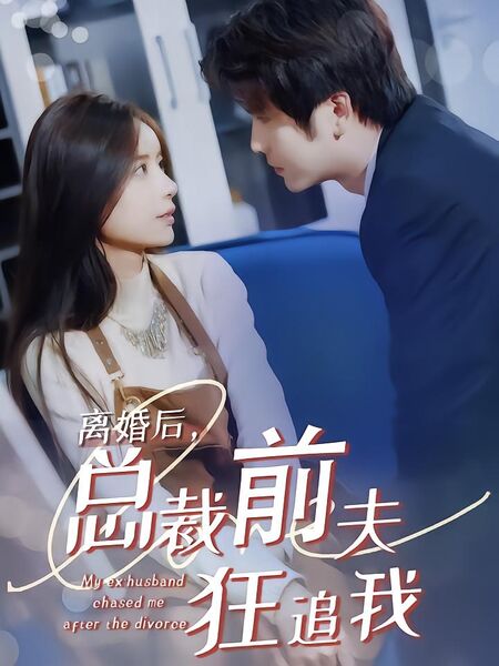 离婚后，总裁前夫狂追我