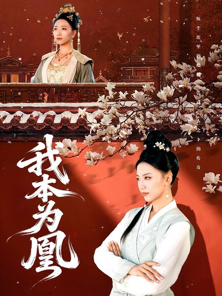 我本为凰