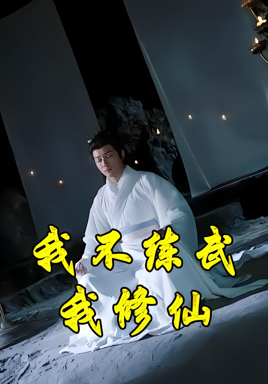 我不练武我修仙