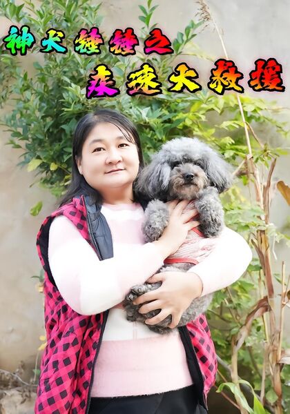 神犬锤锤之疾速大救援