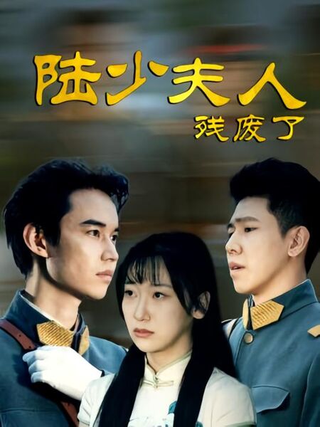 陆少夫人残废了