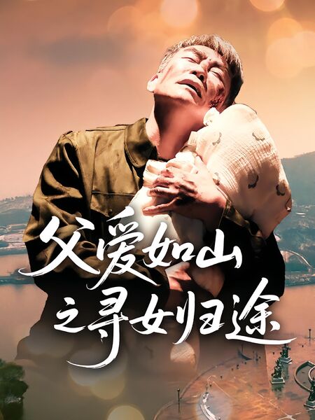 父爱如山之寻女归途