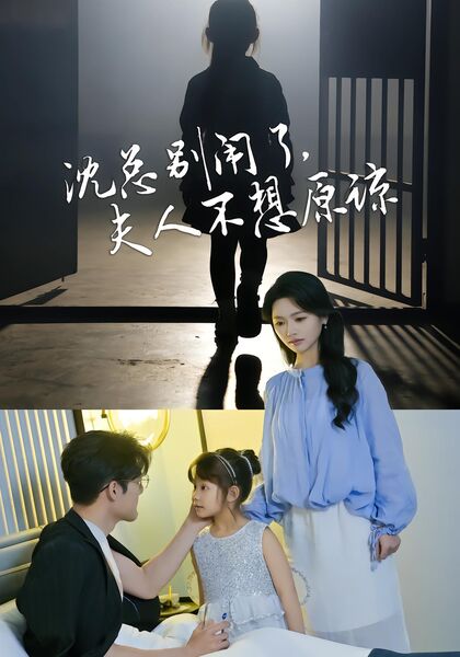 沈总别闹了，夫人不想原谅