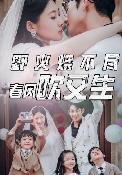 野火烧不尽微风吹又生