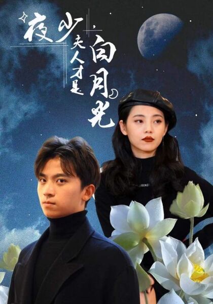 夜少，夫人才是白月光