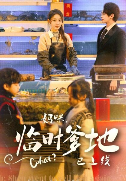 妈咪，临时爸比已上线