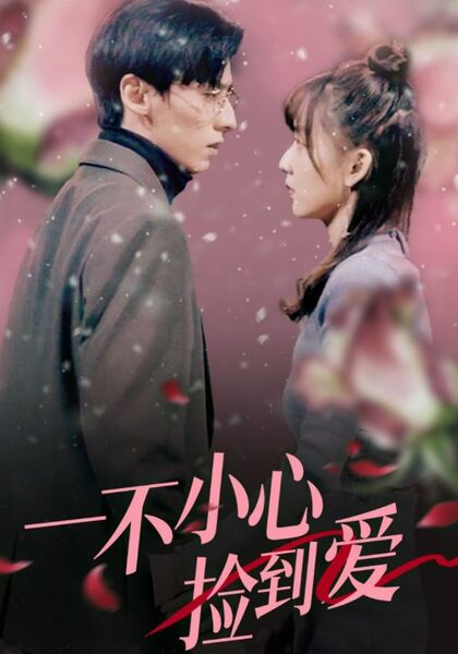 一不小心捡到爱