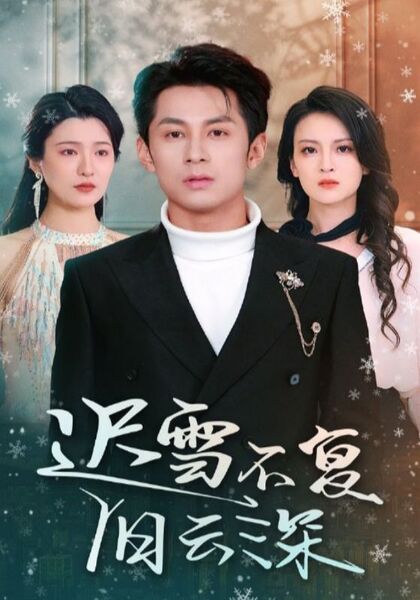 迟雪不复旧云深