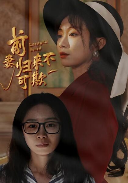 前妻归来不可欺