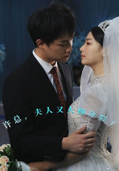 许总，夫人又人格分裂了