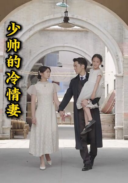 少帅的冷情妻