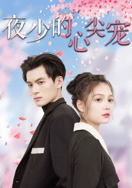 夜少的心尖宠