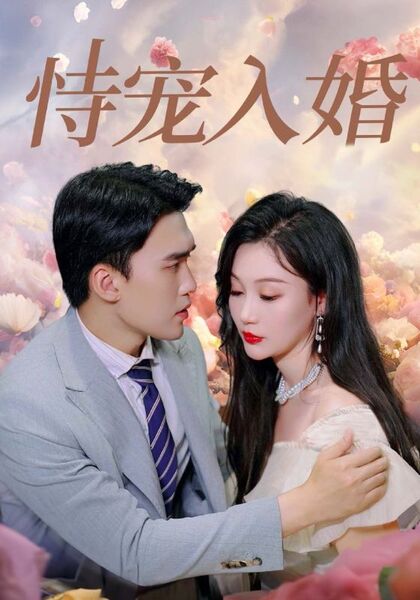 恃宠入婚