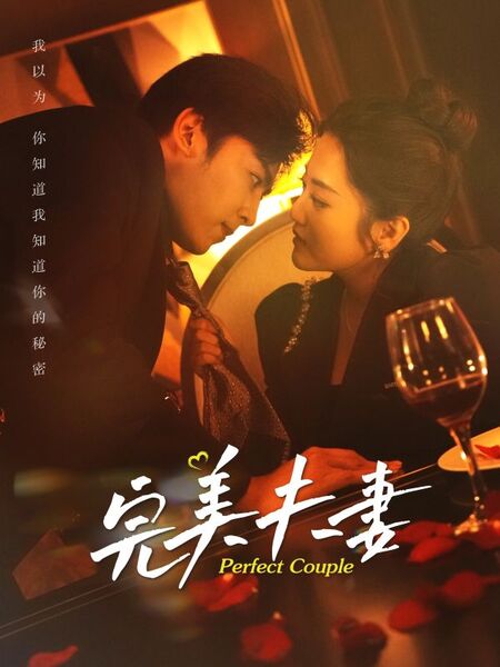 完美夫妻