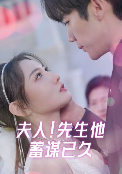 夫人！先生他蓄谋已久