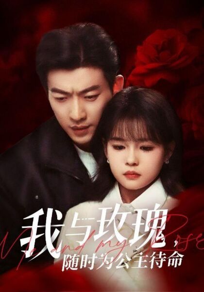 我与玫瑰，随时为公主待命