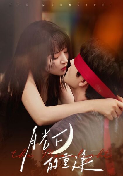 月光下的重逢
