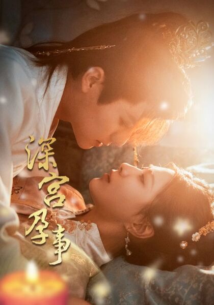 深宫孕事