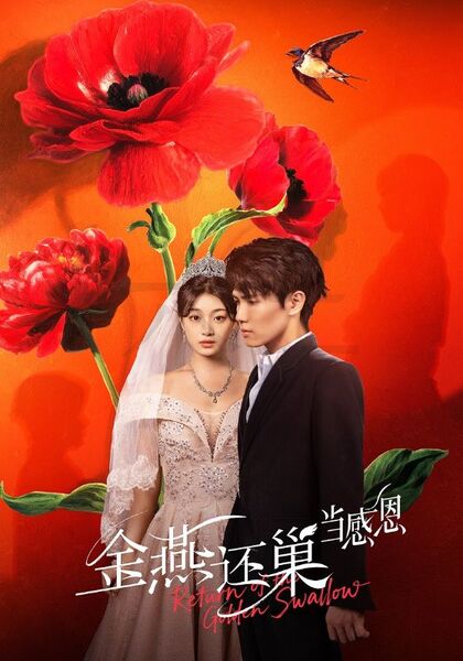 金燕还巢当感恩