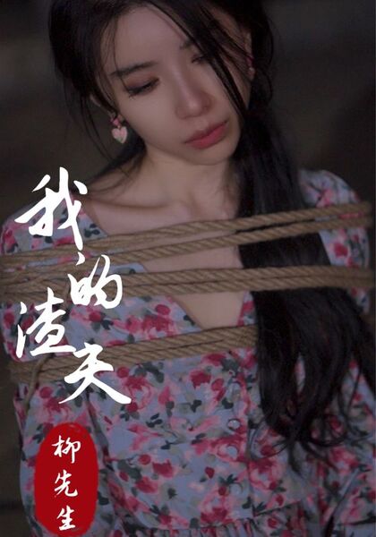 我的渣夫柳先生