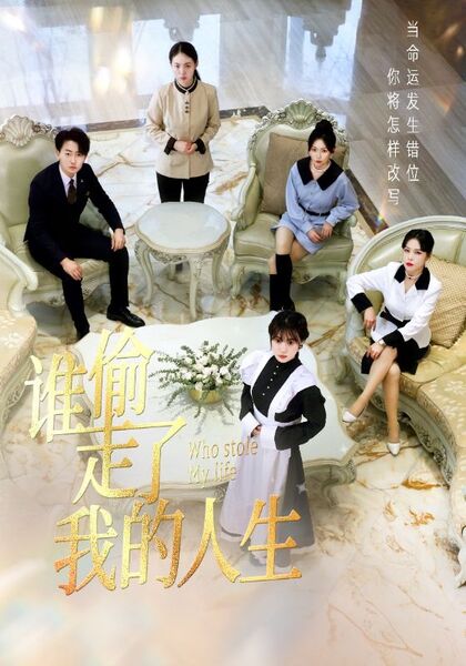 谁偷走了我的人生